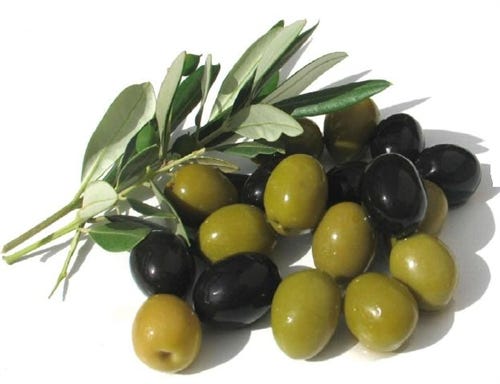 FSS Olive Leaf Extract PF