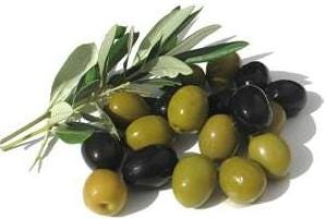 FSS Olive Oil Clear
