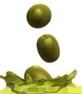 FSS OLIVE SQUALANE