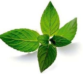 FSS Peppermint Oil