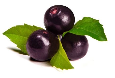 Phyto-Biotics Acai – Formulator Sample Shop