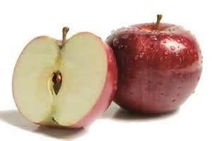 FSS Phyto-Biotics Apple