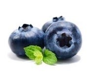 FSS Phyto-Biotics Blueberry