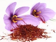 FSS Phyto-Biotics Saffron