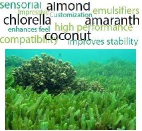 FSS Phytomulse® Chlorella