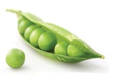 FSS Pisum Sativum Peptide - PEA Protein