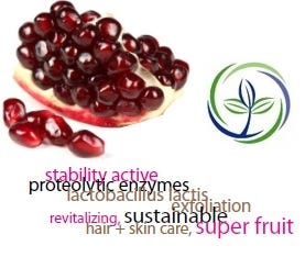 FSS Pomegranate Enzyme