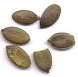 FSS Pumpkin Seed Extract PF