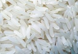 FSS Rice Lipids