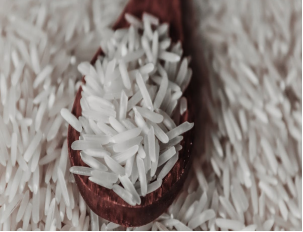FSS Rice Lipids Plus