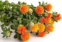 FSS SAFFLOWER OLEOSOMES SF2