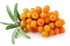 FSS SeaBuckthorn Pulp Oil