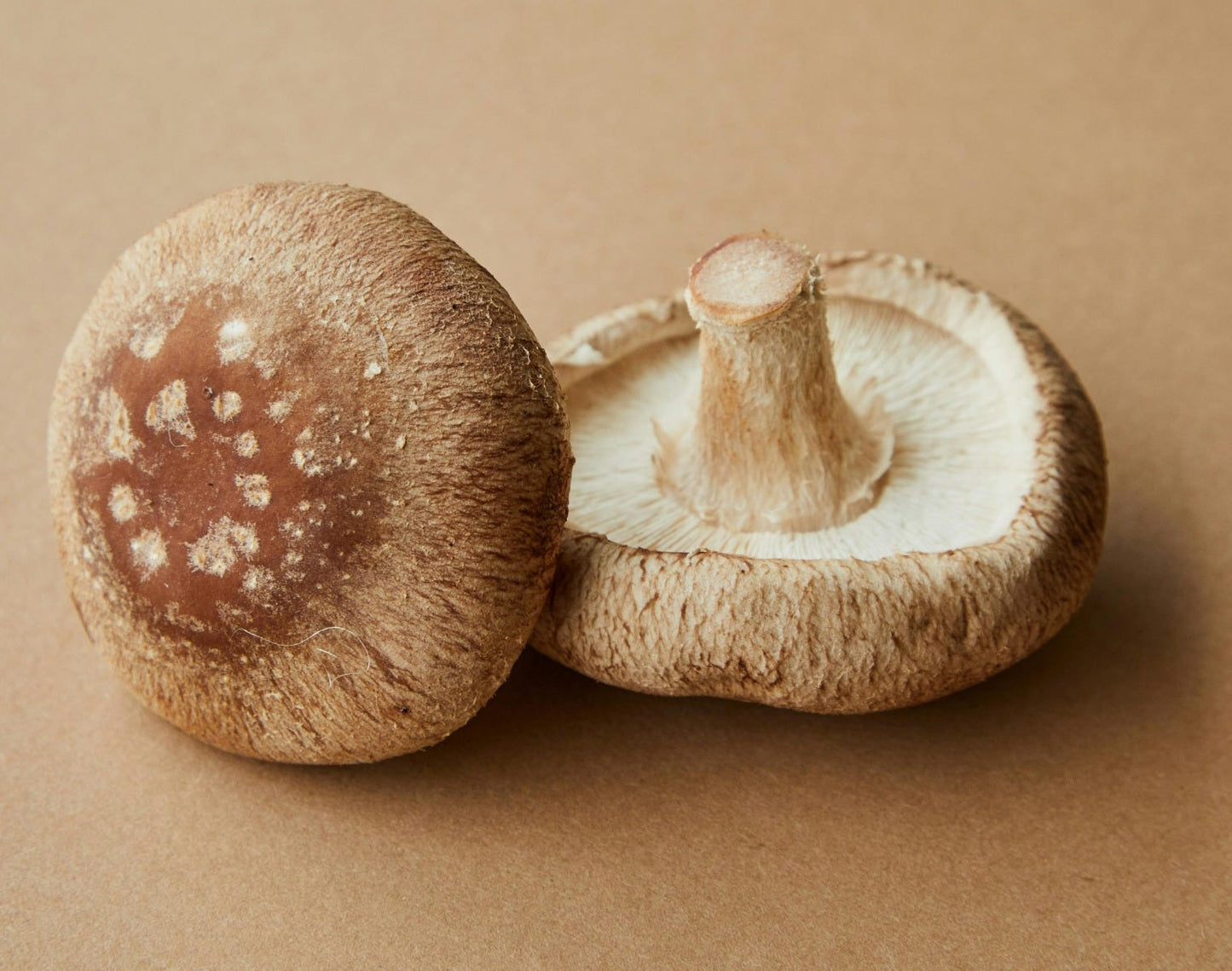 FSS Shiitake Extract SNO