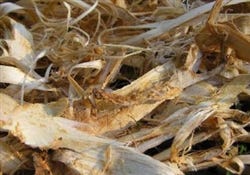 FSS Slippery Elm Bark Extract G