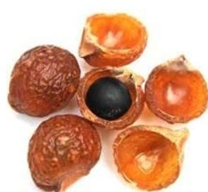 FSS Soapberry Saponins