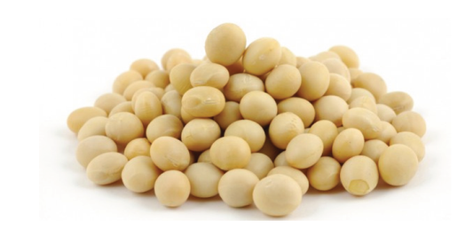 FSS SOY HYDROLYSATE PF DRK