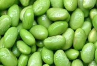 FSS Soybean Extract G
