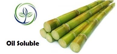FSS Sugarcane Extract OS