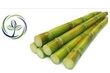 FSS Sugarcane Extract PF