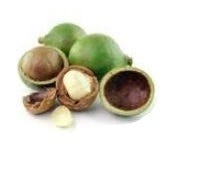 FSS TAMANU OIL