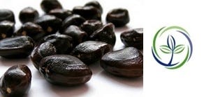 FSS Tamarind Seed Extract G