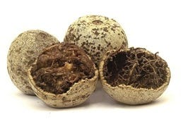 FSS Thanakha Extract PF