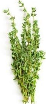 FSS Thyme Extract