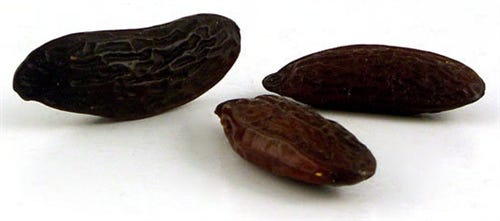 FSS Tonka Bean BioFerment PF