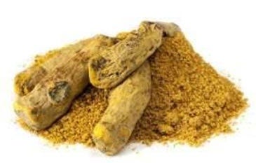 FSS Turmeric Extract G