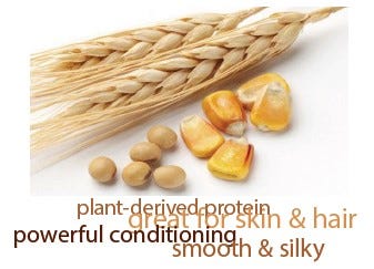 FSS Vegetable Hydrolysate PF