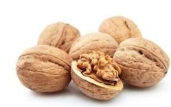 FSS Walnut Extract G