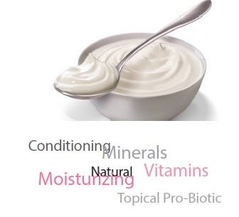 FSS Yogurt Hydrolysate SF