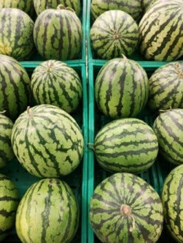 FSS Kalahari Melon Extract G PF