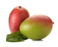 FSS Mango Flower Extract G