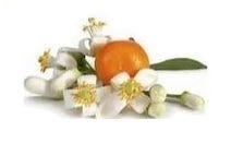 FSS Neroli (Orange Blossom) Hydrosol