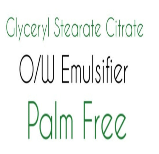 FSS GLYCERYL STEARATE CITRATE