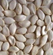 FSS Pumpkin Anti-MMP- Hydrolyzed Pumpkin Seedcake