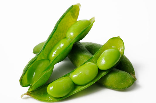 FSS Soy Hydrolysate OS (Oil Soluble)