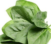 FSS Spinach Extract G PF