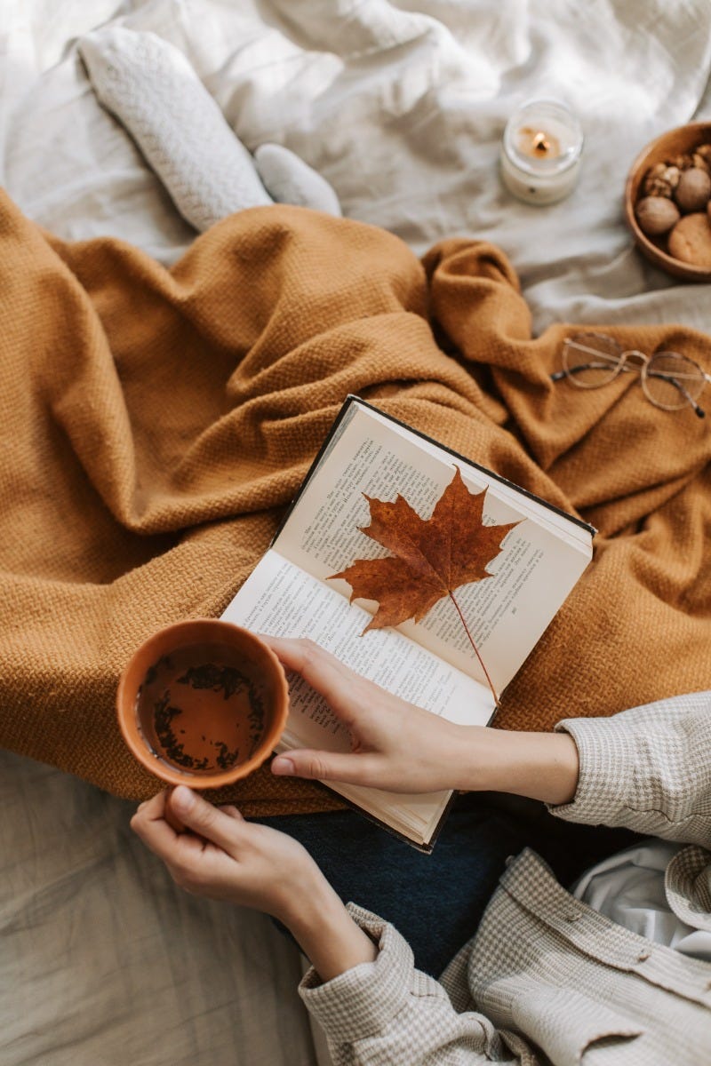 The Cozy Collection 