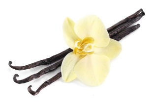 FSS Vanilla Extract PF