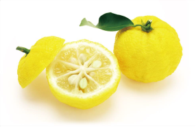 FSS Yuzu Extract OS